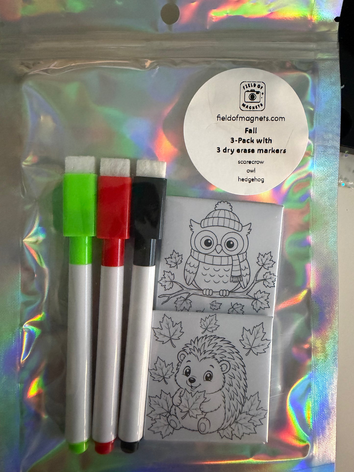3-Pack Dry Erase Coloring Kits - Choose Your Design