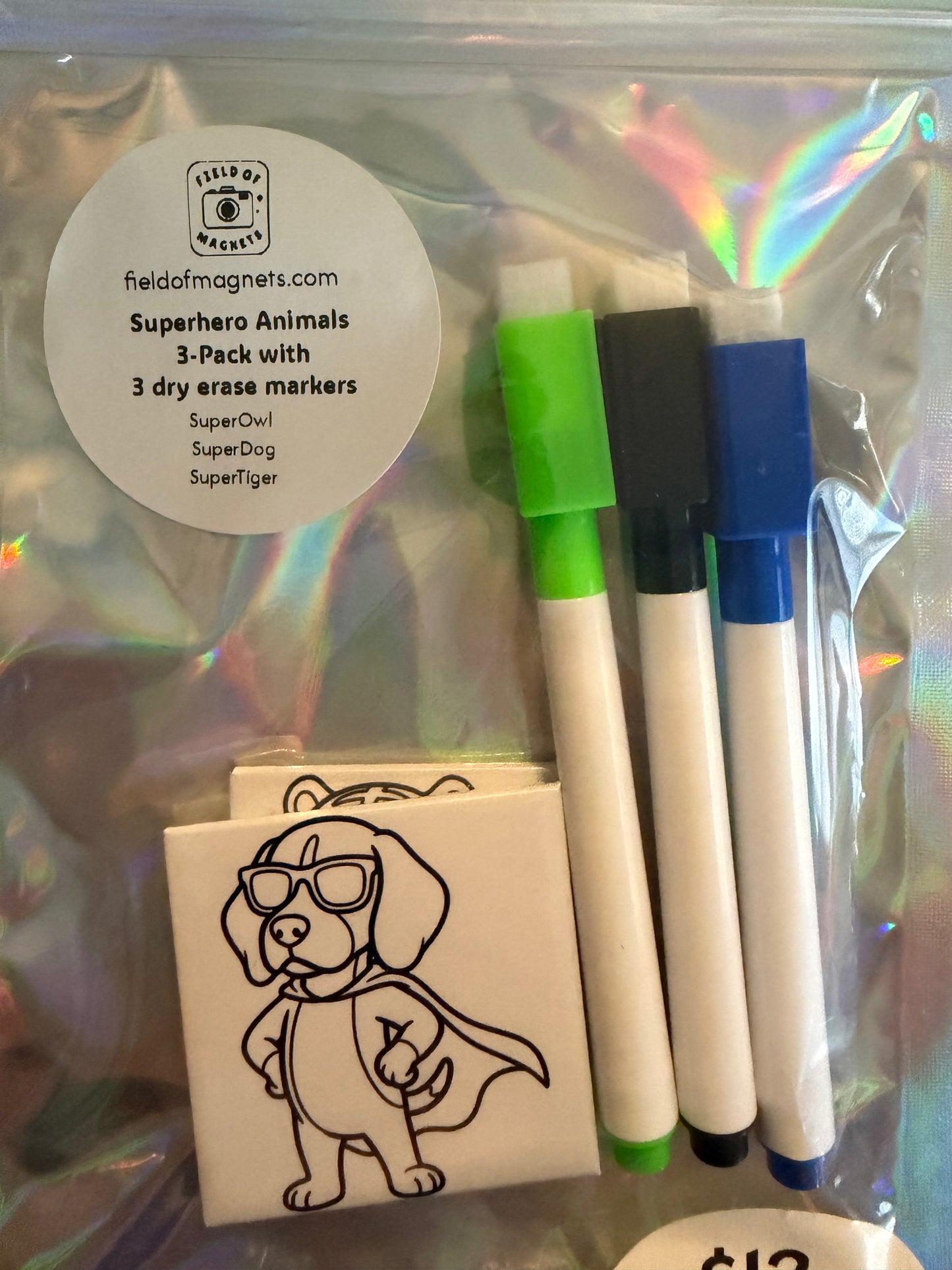 3-Pack Dry Erase Coloring Kits - Choose Your Design