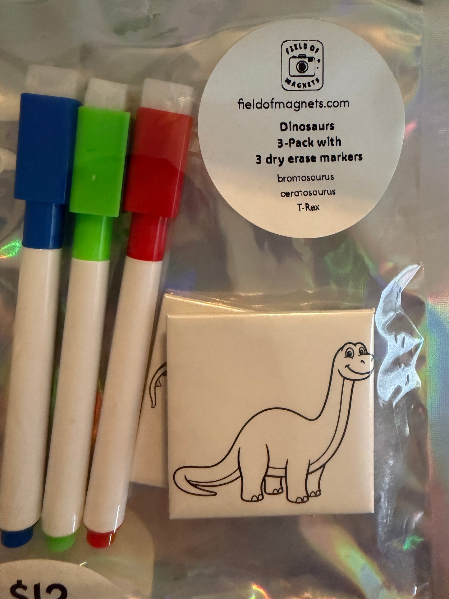 3-Pack Dry Erase Coloring Kits - Choose Your Design