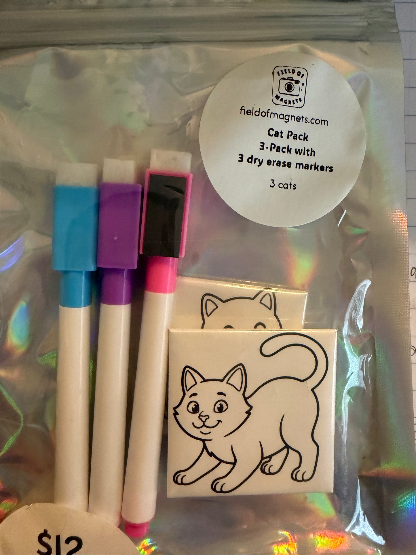 3-Pack Dry Erase Coloring Kits - Choose Your Design