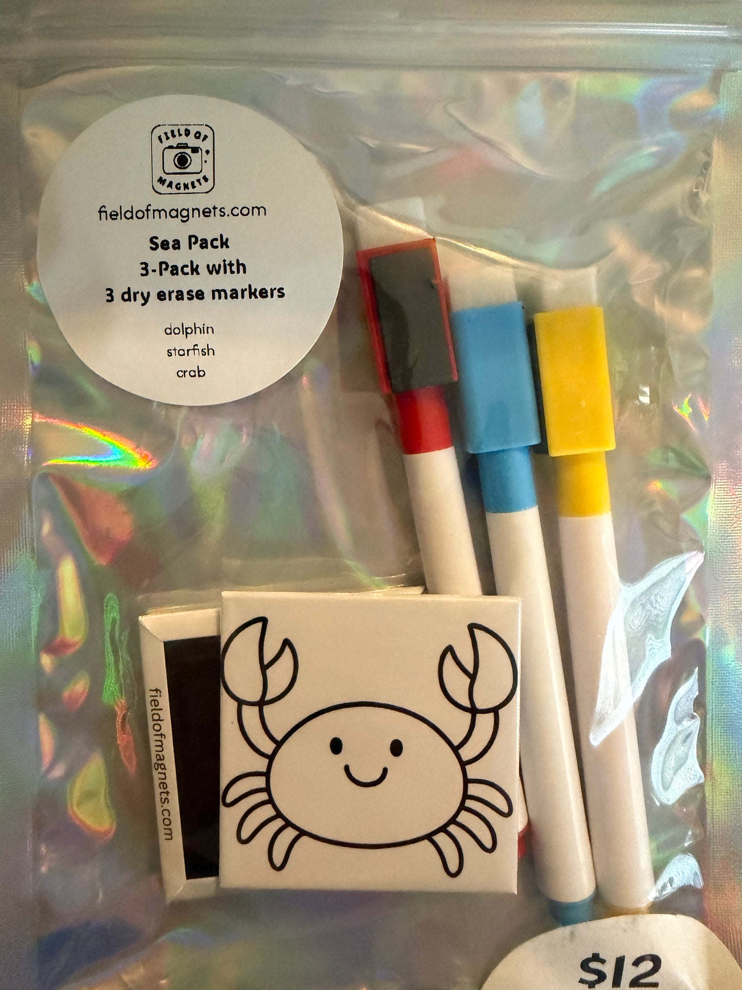 3-Pack Dry Erase Coloring Kits - Choose Your Design