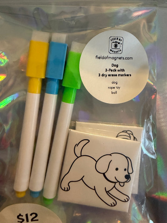 3-Pack Dry Erase Coloring Kits - Choose Your Design