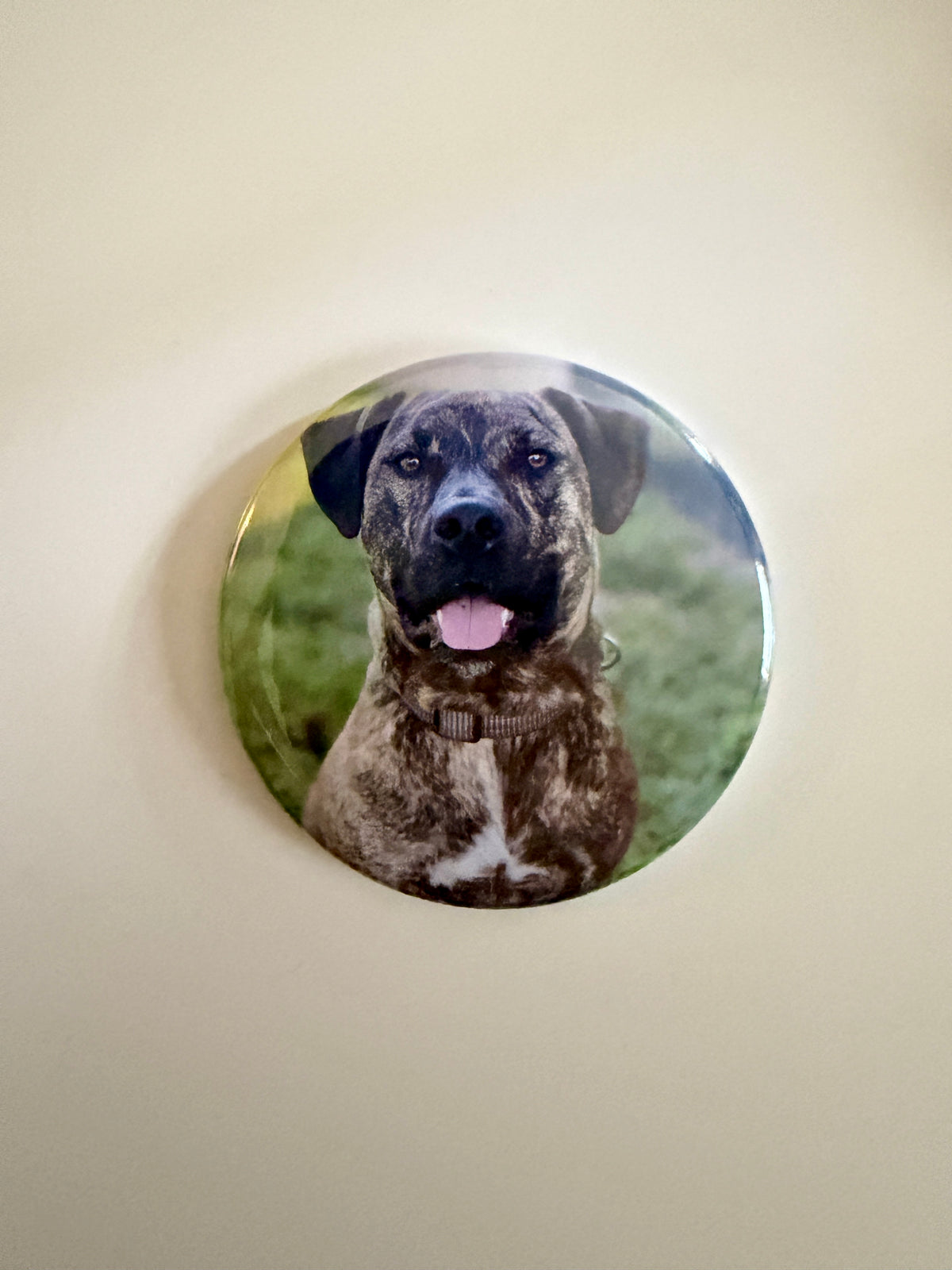 Custom pet portrait round magnet – 2.25" photo magnet by Field of Magnets