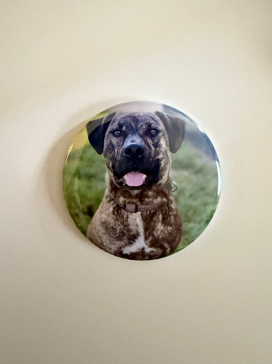 Custom pet portrait round magnet – 2.25" photo magnet by Field of Magnets