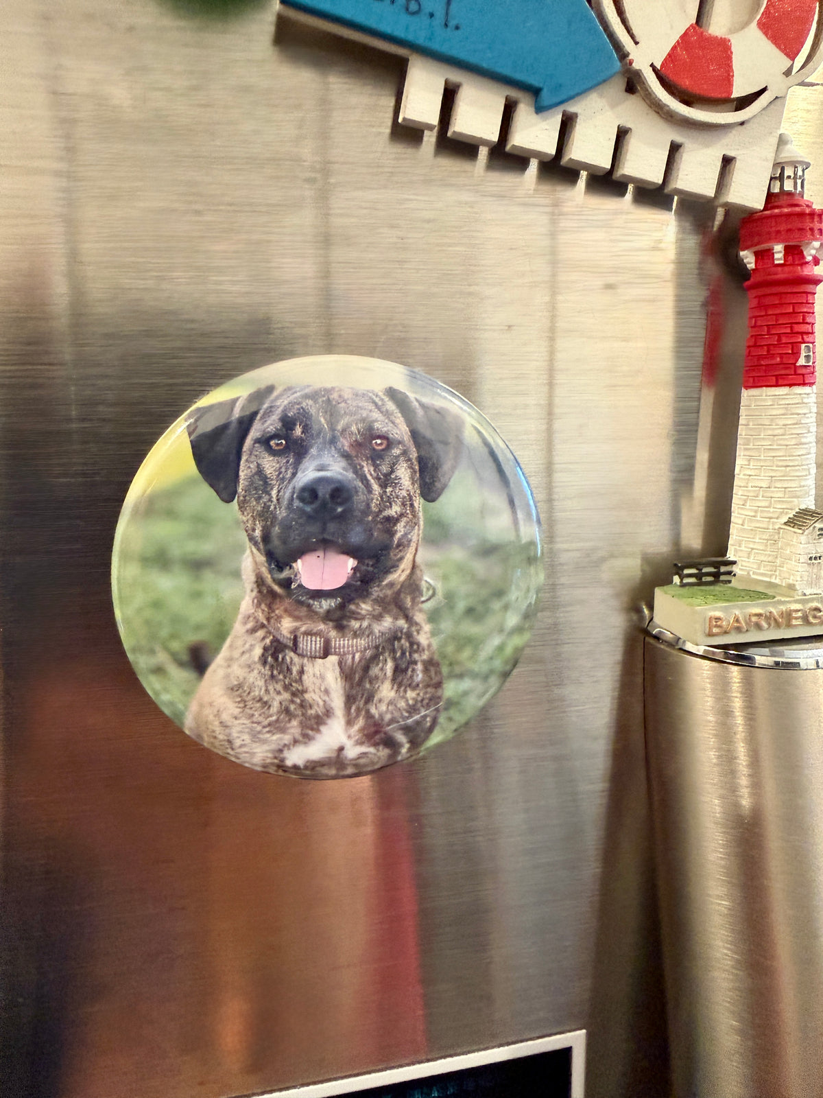 Custom 2.25" round photo magnet displayed on stainless steel refrigerator – Field of Magnets