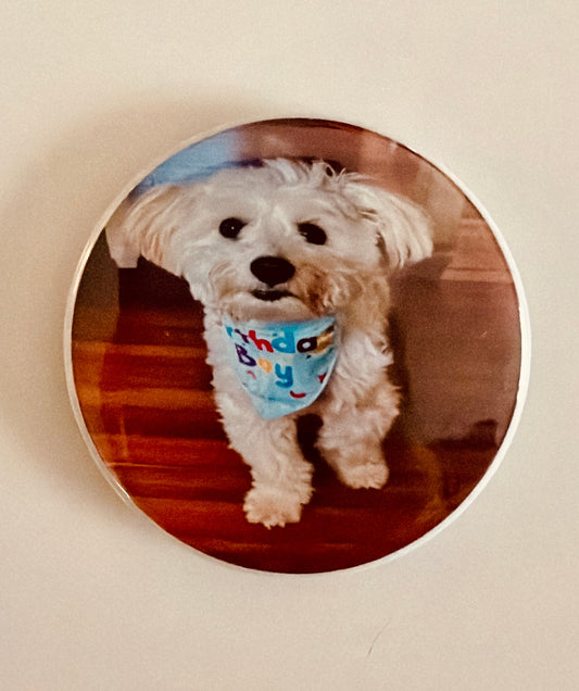 Custom pet portrait magnetic bottle opener front – 2.25" round photo bottle opener by Field of Magnets
