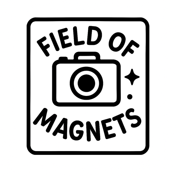 FIELD OF MAGNETS